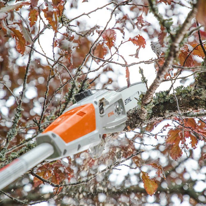STIHL® HTA 50 POLE PRUNER BARE TOOL