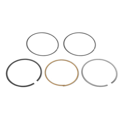 Piston Rings for ZONSEN GB750 Engine