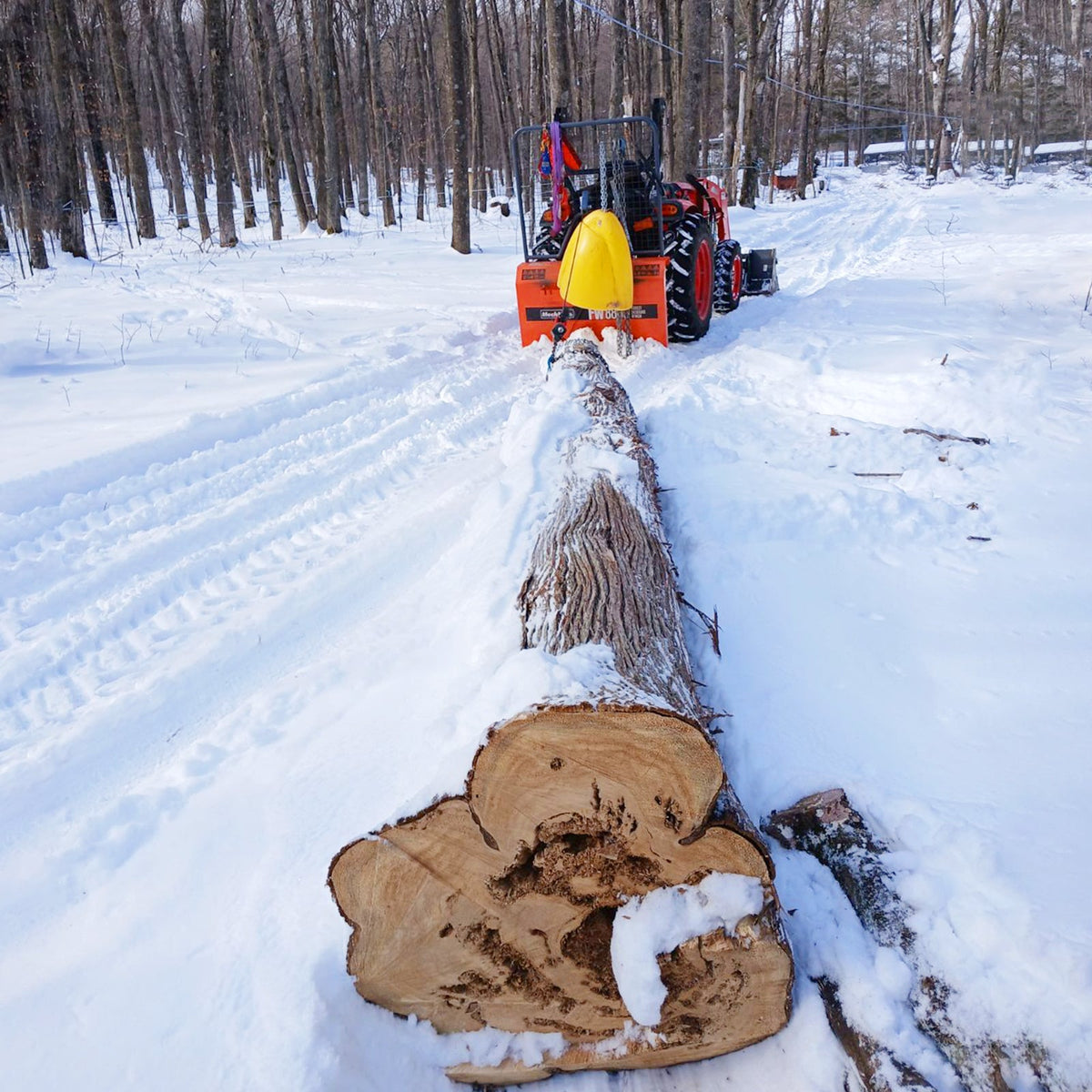 3-Point PTO Stump Grinder & Forestry Log Skidding Winch Bundle, SG24 & FW8800